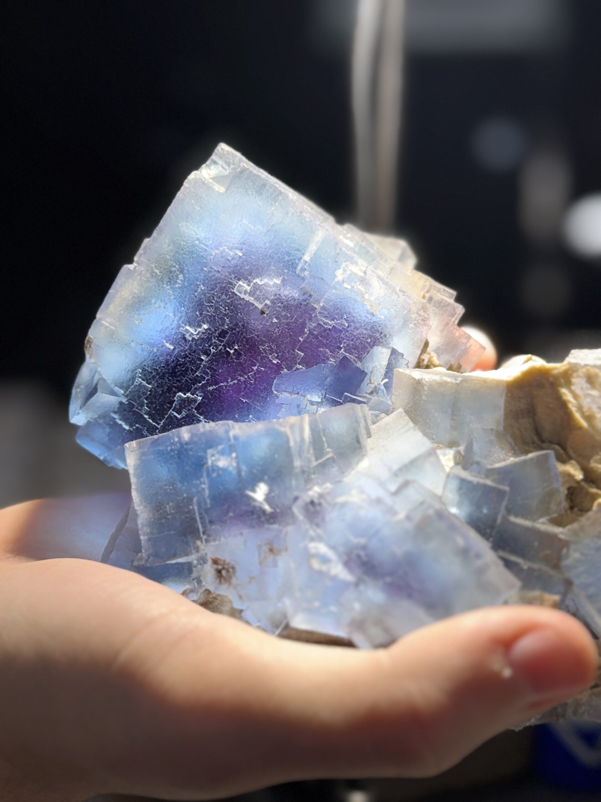 Denver Gem Show 2025